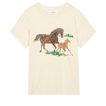 The Boxy Crew w/Horses - The Great
